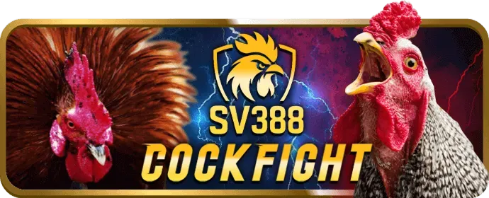 Cá Cược Thể Thao Trực Tuyến Kubet11